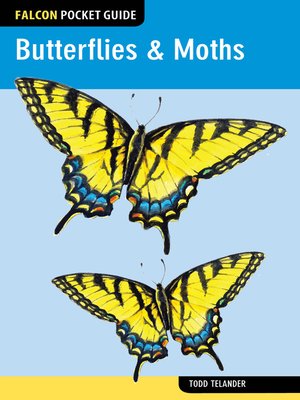 cover image of Butterflies & Moths